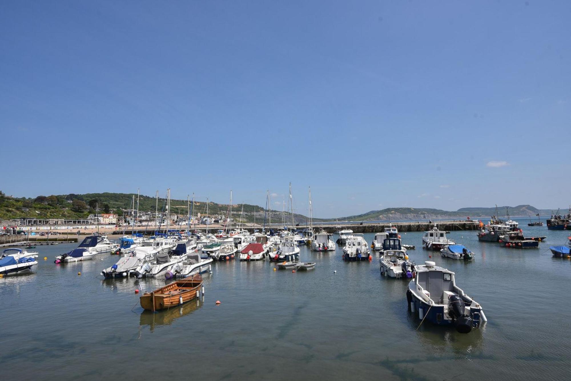 Ronita Villa Lyme Regis Eksteriør bilde